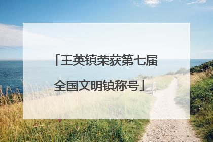 王英镇荣获第七届全国文明镇称号