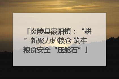 炎陵县霞阳镇：“耕”新聚力护粮仓 筑牢粮食安全“压舱石”