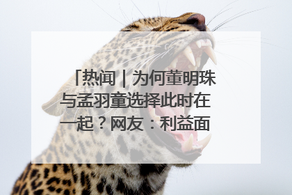 热闻｜为何董明珠与孟羽童选择此时在一起？网友：利益面前啥都能和解