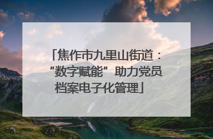 焦作市九里山街道：“数字赋能”助力党员档案电子化管理
