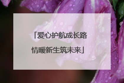 爱心护航成长路 情暖新生筑未来