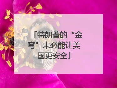 特朗普的“金穹”未必能让美国更安全
