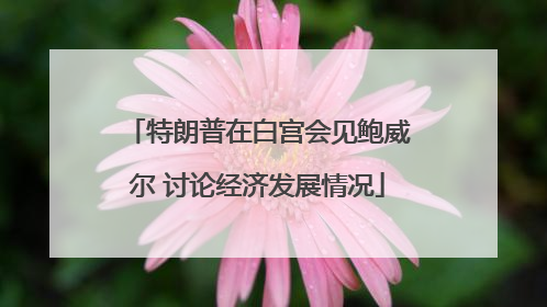 特朗普在白宫会见鲍威尔 讨论经济发展情况