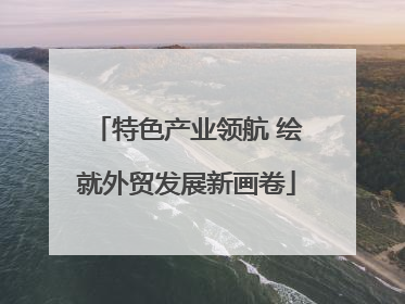 特色产业领航 绘就外贸发展新画卷