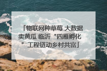 物联网种草莓 大数据卖黄瓜 临沂“四雁孵化”工程链动乡村共富