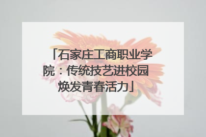 石家庄工商职业学院：传统技艺进校园焕发青春活力