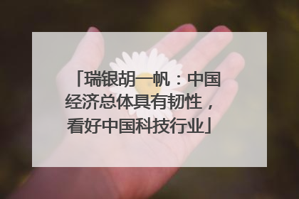 瑞银胡一帆：中国经济总体具有韧性，看好中国科技行业