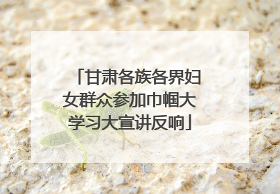 甘肃各族各界妇女群众参加巾帼大学习大宣讲反响