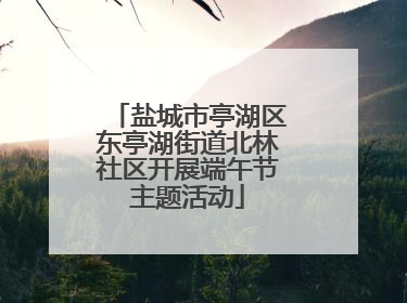 盐城市亭湖区东亭湖街道北林社区开展端午节主题活动