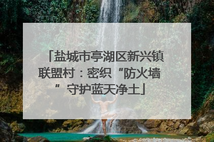 盐城市亭湖区新兴镇联盟村：密织“防火墙”守护蓝天净土