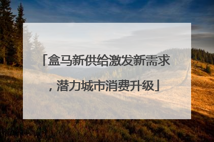 盒马新供给激发新需求，潜力城市消费升级