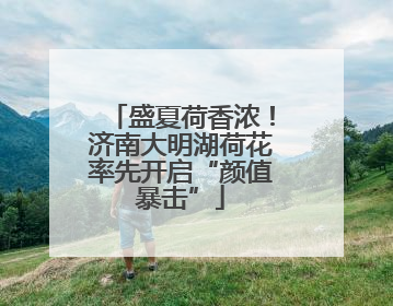 盛夏荷香浓！济南大明湖荷花率先开启“颜值暴击”