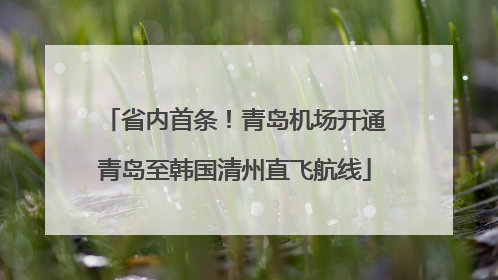省内首条！青岛机场开通青岛至韩国清州直飞航线