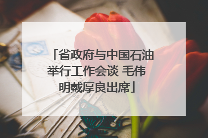 省政府与中国石油举行工作会谈 毛伟明戴厚良出席