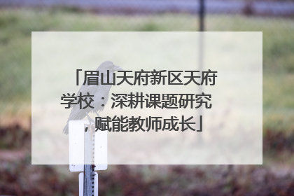 眉山天府新区天府学校：深耕课题研究，赋能教师成长