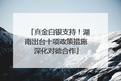 真金白银支持！湖南出台十项政策措施深化对德合作