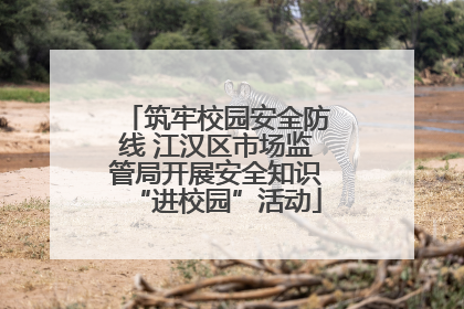 筑牢校园安全防线 江汉区市场监管局开展安全知识“进校园”活动