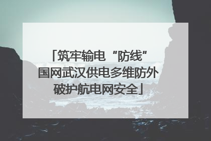 筑牢输电“防线” 国网武汉供电多维防外破护航电网安全