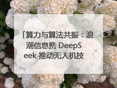 算力与算法共振：浪潮信息携 DeepSeek 推动无人机技术在舟山落地