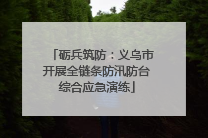 砺兵筑防：义乌市开展全链条防汛防台综合应急演练