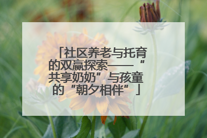 社区养老与托育的双赢探索——“共享奶奶”与孩童的“朝夕相伴”