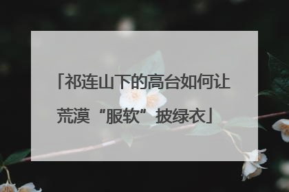 祁连山下的高台如何让荒漠“服软”披绿衣