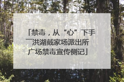 禁毒，从“心”下手――洪湖戴家场派出所广场禁毒宣传侧记