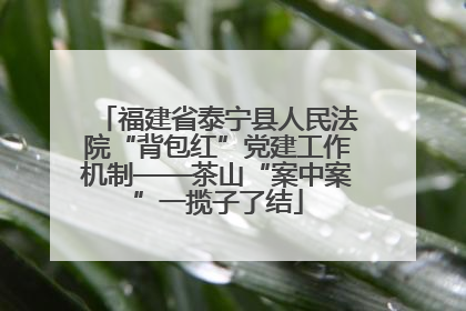 福建省泰宁县人民法院“背包红”党建工作机制——茶山“案中案”一揽子了结