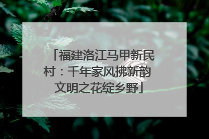 福建洛江马甲新民村：千年家风拂新韵 文明之花绽乡野