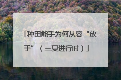 种田能手为何从容“放手”（三夏进行时）