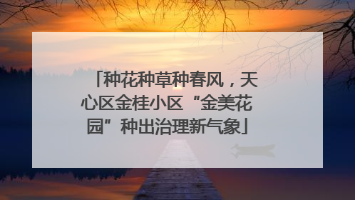种花种草种春风，天心区金桂小区“金美花园”种出治理新气象