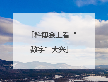 科博会上看“数字”大兴