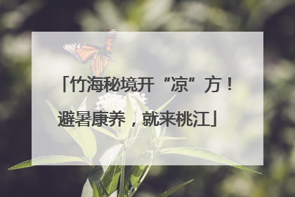竹海秘境开“凉”方！避暑康养，就来桃江