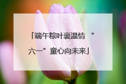 端午粽叶裹温情 “六一”童心向未来