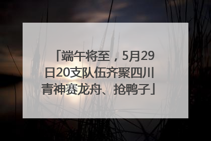 端午将至，5月29日20支队伍齐聚四川青神赛龙舟、抢鸭子
