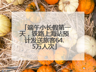 端午小长假第一天，铁路上海站预计发送旅客64.5万人次