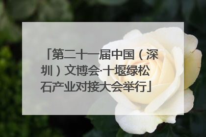 第二十一届中国（深圳）文博会·十堰绿松石产业对接大会举行