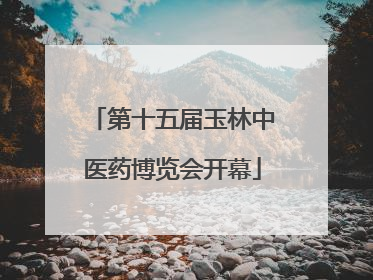 第十五届玉林中医药博览会开幕