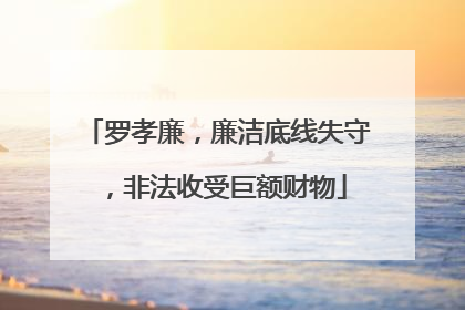 罗孝廉，廉洁底线失守，非法收受巨额财物