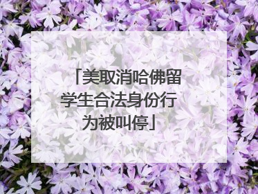 美取消哈佛留学生合法身份行为被叫停