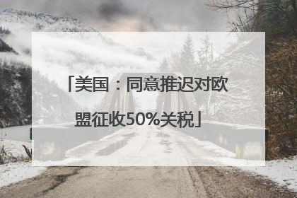 美国：同意推迟对欧盟征收50%关税