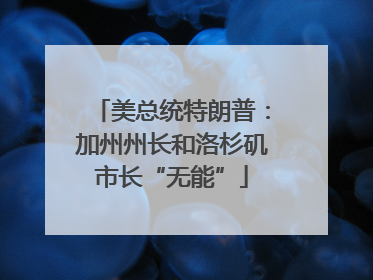 美总统特朗普：加州州长和洛杉矶市长“无能”
