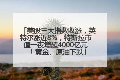 美股三大指数收涨，英特尔涨近8%，特斯拉市值一夜增超4000亿元！黄金、原油下跌