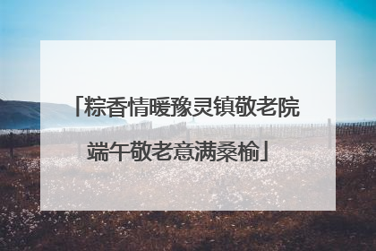 粽香情暖豫灵镇敬老院 端午敬老意满桑榆