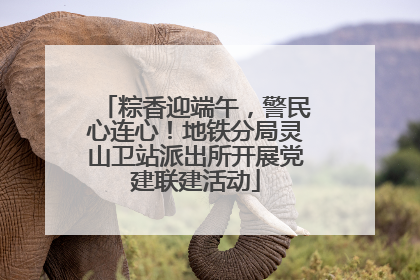 粽香迎端午，警民心连心！地铁分局灵山卫站派出所开展党建联建活动