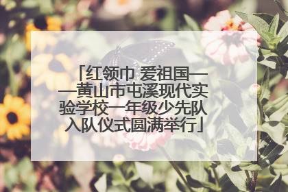 红领巾 爱祖国——黄山市屯溪现代实验学校一年级少先队入队仪式圆满举行