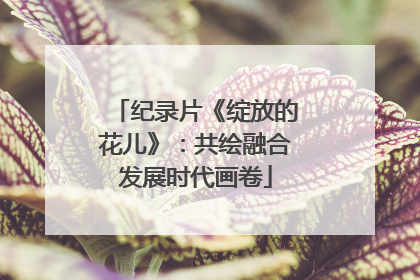 纪录片《绽放的花儿》：共绘融合发展时代画卷