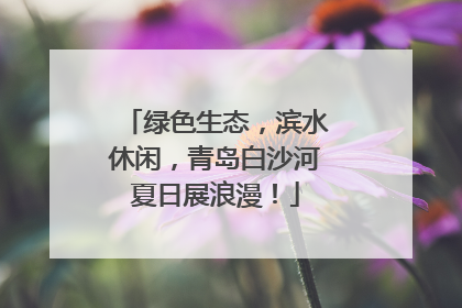 绿色生态，滨水休闲，青岛白沙河夏日展浪漫！