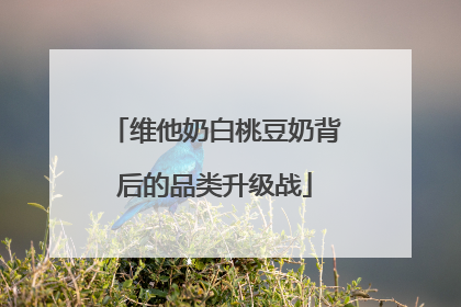 维他奶白桃豆奶背后的品类升级战