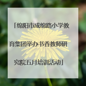 绵阳市成绵路小学教育集团举办书香教师研究院五月培训活动
